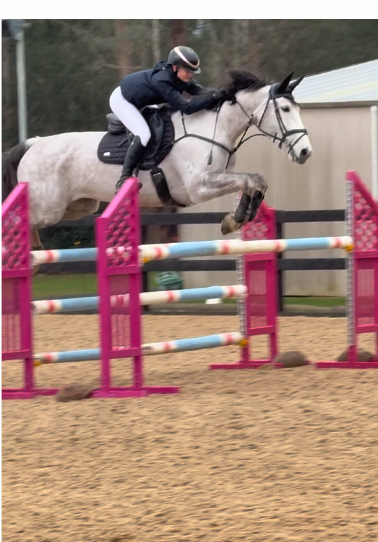 Hattie 6th in our first 1.15 together💪 also getting 4th in the 1.04 and overall jackpot winner!🏆  - #glenaramanhattan #unlockmylikes #makemegoviralplz #equestrian #showjumpinghorse 