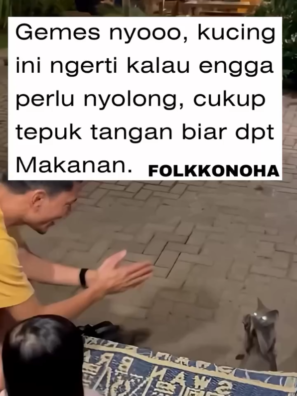 Ngamen dulu dia 😭🤣 🎥 : ak_chen1 Cek selengkapnya di Ripost : @folkkonoha Remove vidio silahkan DM🙏  sekalian izin🙏 Bantu folow 300k teman-teman @kesenian_nusantara *menjadi wadah kesenian dan budaya indonesia untuk mempromosikan kesenian dan budaya indonesia🙏 Segala kesenian yang ada di indonesia dll akan kita upload di sini. Mari kita semua bergerak melalui media sosial untuk mempromosikan kesenian dan budaya indonesia tercinta kita🙏 . . . #kucinglucu  #keseniannusantara #kucing #pinter #orangbaik 