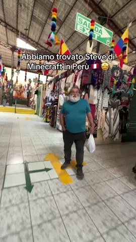 I AM STEVE❤️‍🔥😭 #goonsitaly #Minecraft #steve #perú 