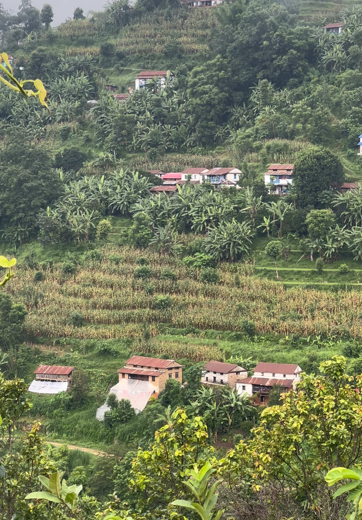 📍फेलेवास पर्वत #nepal #onehiddenman #view #parbat #nepalitiktok 