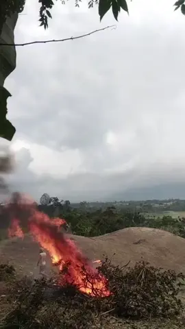 #padahariini 