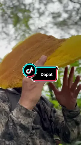 Dapat