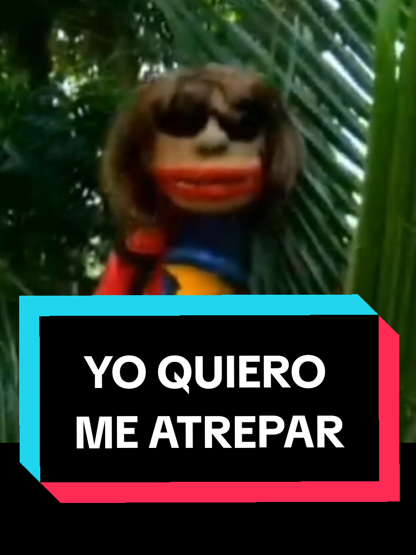 Yo quiero me atrepar... #garrasdapatrulha #coxinhaedoquinha #comedia #patrulhadocoxinha #engracado 