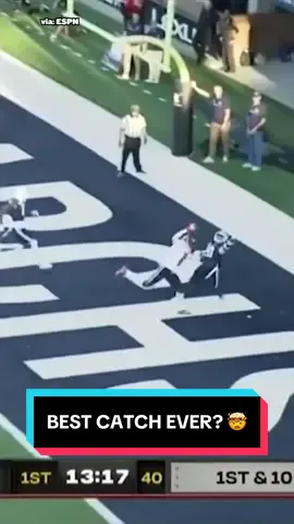 How many times have you watched this insane college football catch? 🤯 (via @ESPN) @FanDuel #catch #liberty #CollegeFootball 