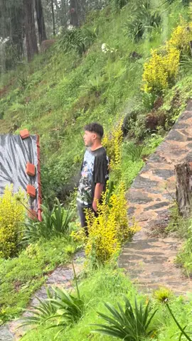 Having an epiphany during a mushroom trip 8,200ft above sea level deep in the mountains. 🏔️ greatest experience of my life. What you are witnessing is me going through the most beautiful death there is… Ego Death. I became one with nature. ❤️#sanjosedelpacifico #mushrooms #thirdeye #oaxaca #egodeath 