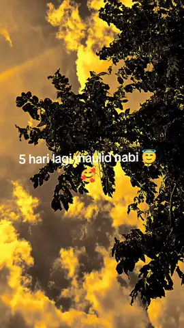 gk terasa ya #fyp #maulidnabi #5harilagi 