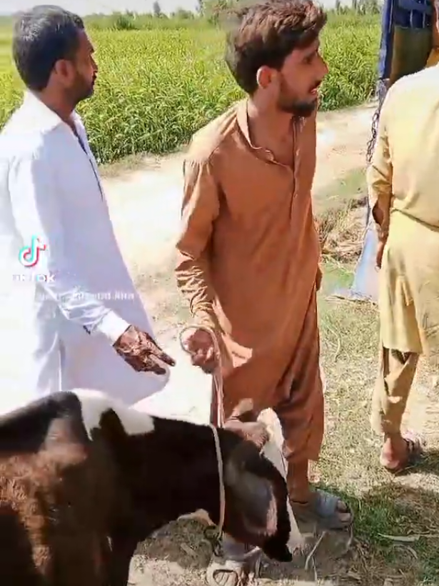 hyee Qismat #viral #foryoupage #floodalert #fyppppppppppppppppppppppp #donotunderreviewmyvideos @Mehdi Khan Baloch❤️❤️❤️🥰 