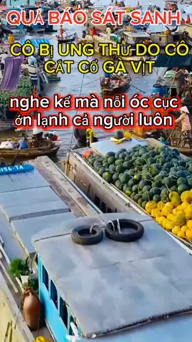 QUẢ BÁO CẮT CỔ GÀ VỊT CÔ BỊ BỆNH UNG THƯ LƯỠI 