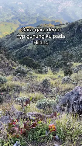 #fyp #demoindonesia2025 #viral #mountain #gunungindonesia 