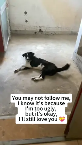 Posted this video