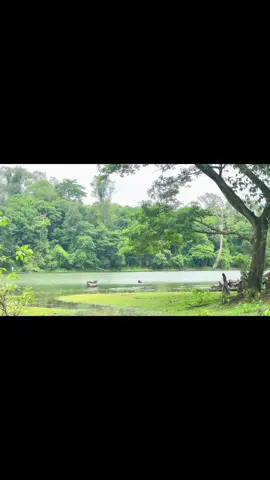 ជាមនុស្សស្រីម្នាក់ ដែលរងចាំស្នេហាពិតនៅសៀមរាប #សៀមរាប 