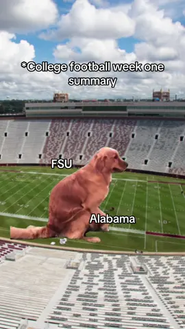Never live that one down!! #college #CollegeFootball #fyp #fsu #alabama 
