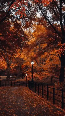 #octubre🎃 