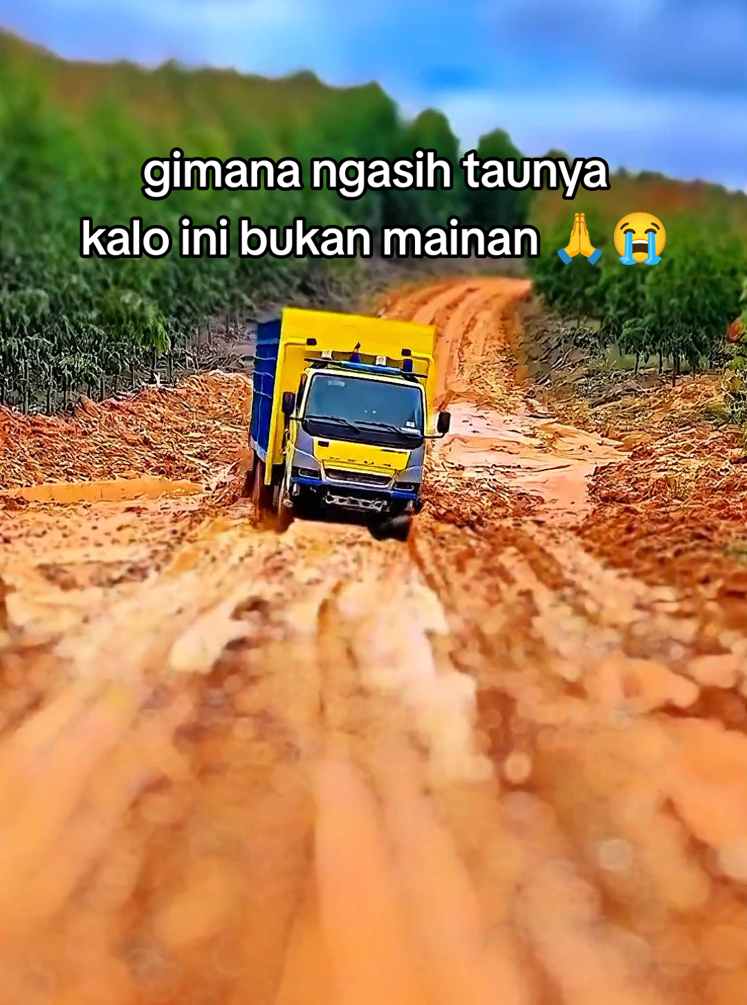 serius ini miniatur apa asli si?🤔🚛 #miniature #trukmaniaindonesia #trukoleng #truksawit 
