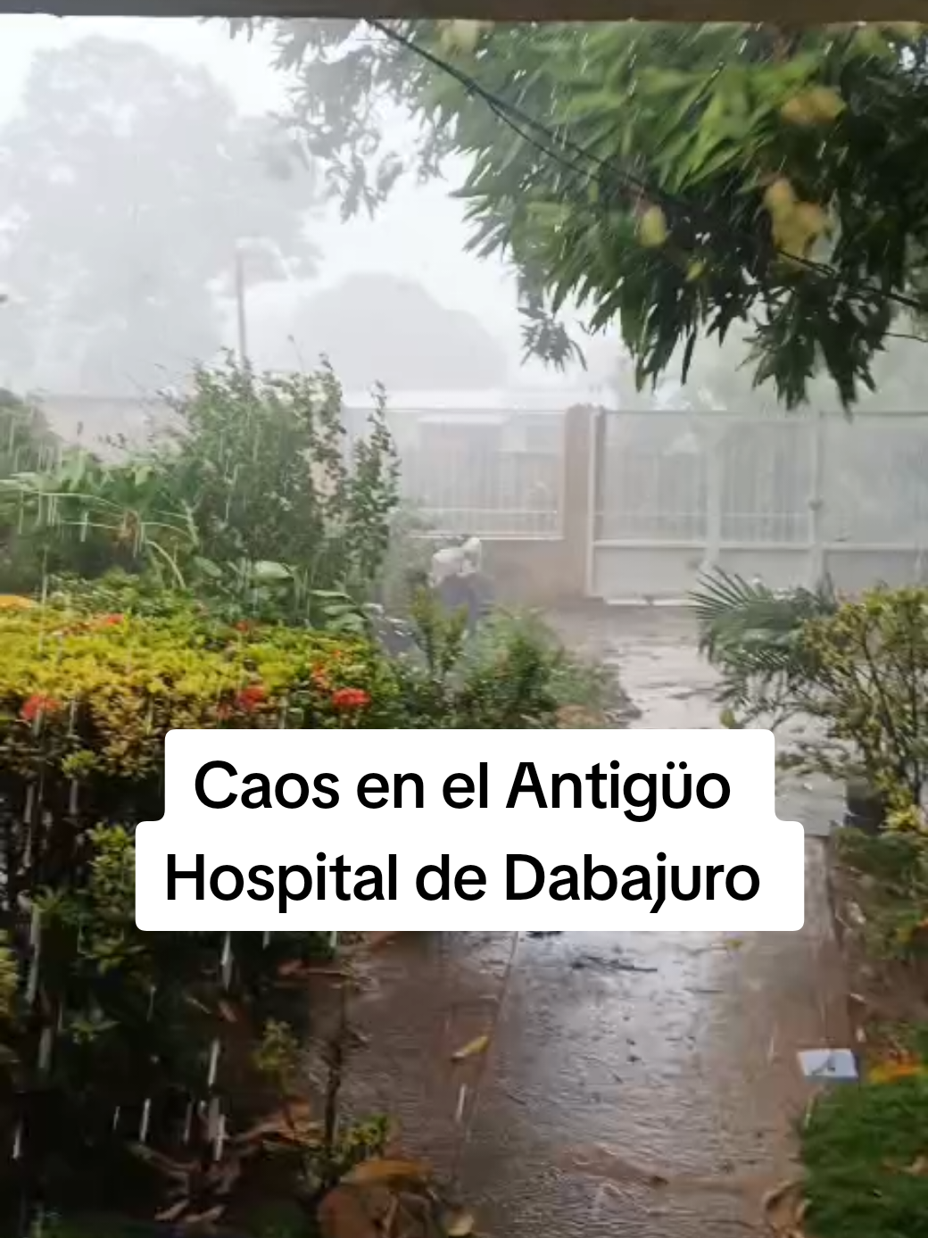 Producto de la lluvia con granizo y fuertes ráfagas de viento  este sábado 30 de Agosto por la tarde 