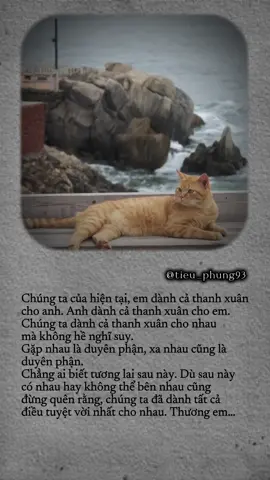 Chúng ta của hiện tại, em dành cả thanh xuân cho anh. Anh dành cả thanh xuân cho em. Chúng ta dành cả thanh xuân cho nhau mà không hề nghĩ suy.  Gặp nhau là duyên phận, xa nhau cũng là duyên phận.  Chẳng ai biết tương lai sau này. Dù sau này có nhau hay không thể bên nhau cũng đừng quên rằng, chúng ta đã dành tất cả điều tuyệt vời nhất cho nhau. Thương em… #Capcut #viral #foryoupage #quotes #caption 