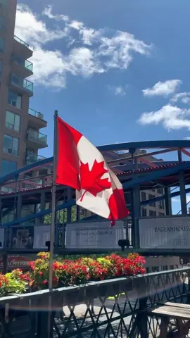Découvrez les salaires compétitifs et les nombreuses opportunités qui vous attendent au Canada pour bâtir un avenir solide ! À travers ce court récit inspirant, suivez le parcours d’un jeune immigrant africain déterminé à transformer ses rêves en réalité. Des professions valorisées comme chauffeur poids lourd, mécanicien, infirmier ou technicien offrent des rémunérations allant de 18 $ à 35 $ CAD de l’heure, bien plus élevées que dans de nombreux pays d’origine. Avec un cadre de travail moderne, des possibilités d’évolution et une qualité de vie exceptionnelle, le Canada est une terre d’accueil idéale pour vos ambitions. Regardez jusqu’à la fin pour découvrir comment ce pays peut changer votre vie et celle de votre famille. N’oubliez pas de liker et partager si cette vidéo vous inspire ! #ImmigrationCanada  #salairecanada  #OpportunitésCanada #TravailAuCanada #VivreAuCanada