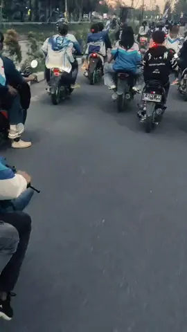 ber teman layak nya lebah satu terluka semua ikut membela 🐝🙅‍♂️🇪🇪