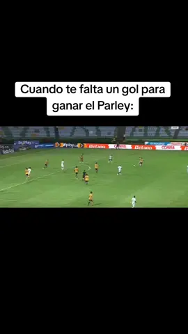 Tremendo jajajaja. VIVA EL FPC. #fpc #pereira #bucaramanga #fyp #ligabetplay2025 