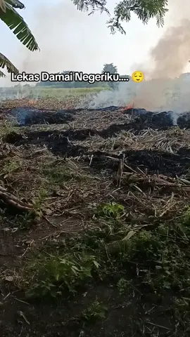 Lekas Damai negeriku  #indonesia🇮🇩 # #fypシ゚viral # #jakartafairkemayoran2025 #