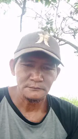 dayak bakumpai #jangan#memaksa#