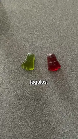 We ate them afterward btw #jegulus #regulusblack #jamespotter #maraudersera #marauders 