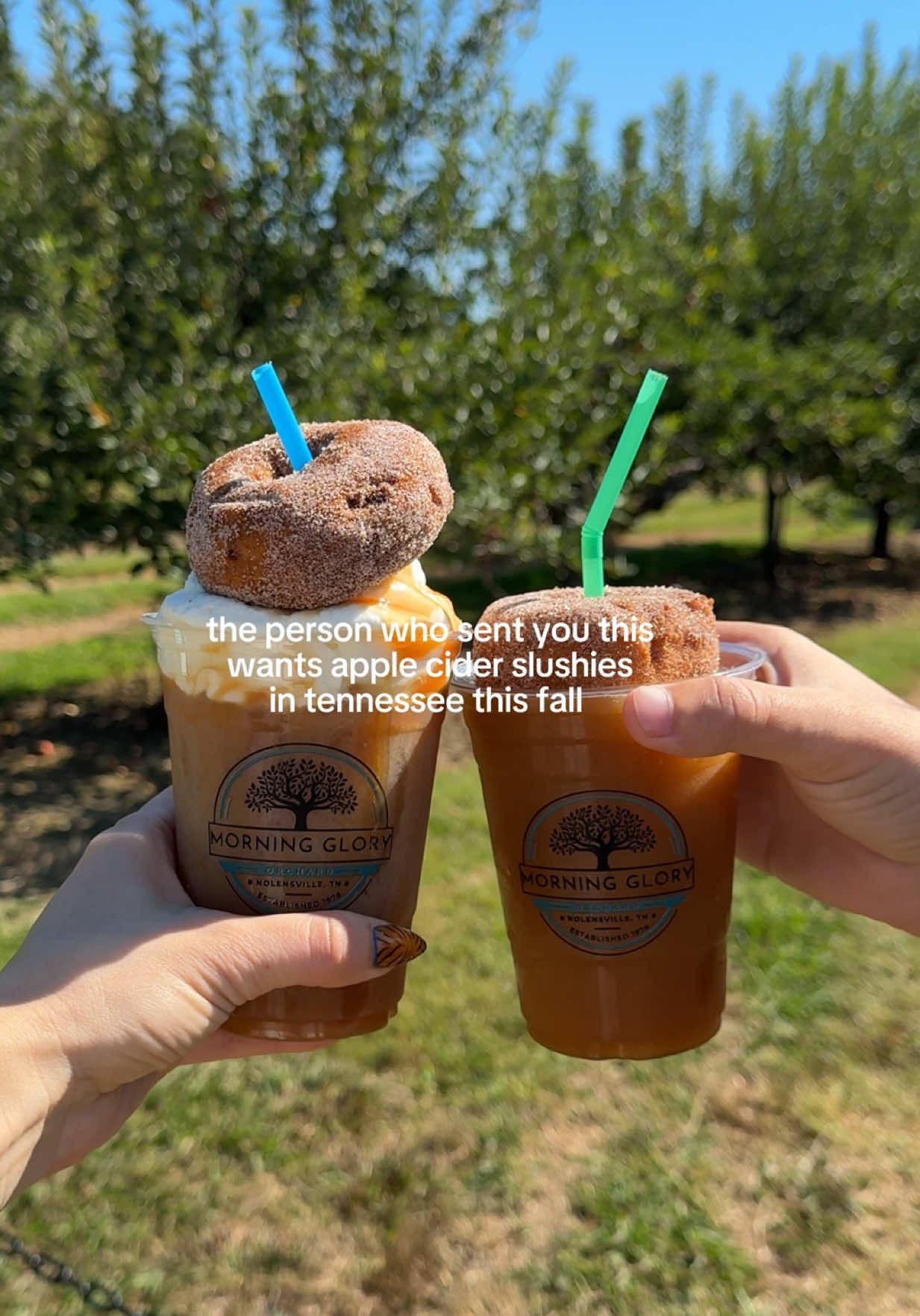 It’s timeeeeee! Apple cider slushies are back at Morning Glory Orchard in Nolensville, TN! 🍎🎃✨ 📍7690 Nolensville Rd, Nolensville, TN 37135 #nashville #fall #fallactivities 