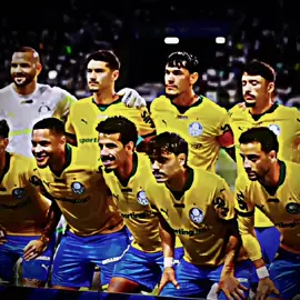 HOJE TEM, PALMEIRAS X CORINTHIANS!! PALPITES?? 💚💚 || #palmeiras #hojetempalmeiras #corinthians #brasileirao #edit