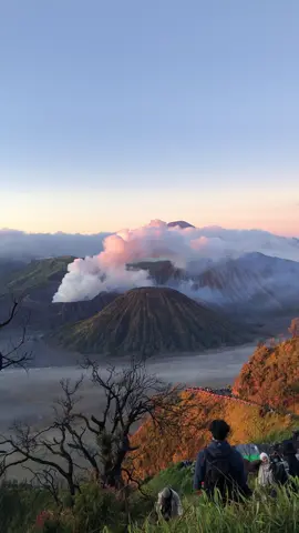 bromo bikin jatuh cinta #bromo 