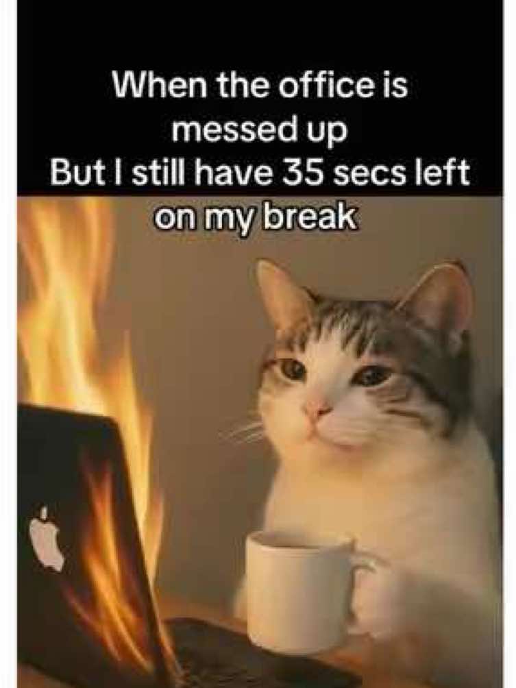 When the office is messed up,But I still have 35 secs left on my break.☕️😌#fyp #workhumor #worklife #catmeme #office 