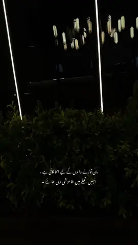 #tiktoksolve #urdushayari #fory #fyppppppppppp #_xhani_15 @fatima ❤️ @چوہدری حنظلہ انصاری 🫀🚩🥷 @cute girls @Mirub Fatima 👑 