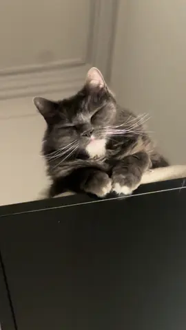 I just looked on top of my closet 🥹