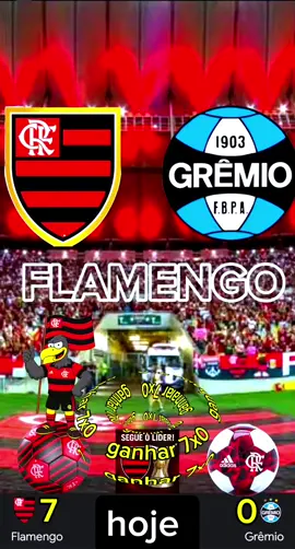 flamengo x grêmio hoje no Maracanã mengão vai em busca de mais uma vitória #segue o líder do brasileirão #tem que respeitar❤️🖤🏆💯