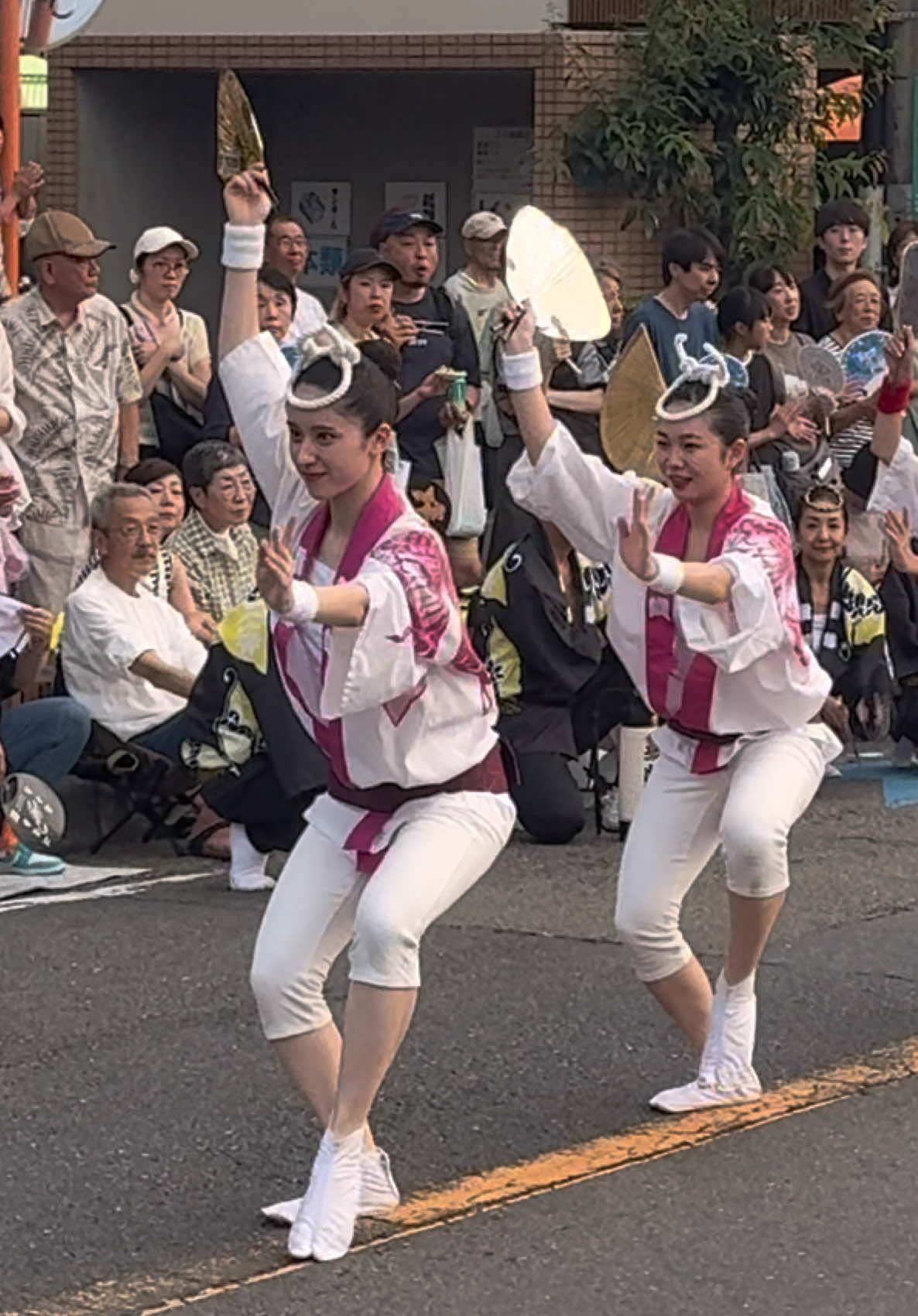 #阿波踊り #阿波おどり 東林間 舞蝶連 奇跡のデュオ #祭り まつり beautifulmusic #beautifulgirl 阿波舞 아와오도리