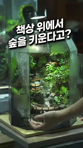 👆위에 동그란 제 프로필링크를 누른뒤에 링크에 들어가서 59번을 검색해주시면,제품정보를 확인해보실 수 있어요 “책상 위에 작은 우주 하나 생겼어요 🌱 0.1평도 안 되는 유리병 속인데, 그 안에서 햇살도 내리고, 비도 내리고… 내가 작은 세계의 신이 된 기분이에요 🤭 관리도 쉽고, 보기만 해도 힐링되니까 공부할 때, 일할 때 옆에 두면 진짜 기분 달라져요. 저처럼 작은 숲, 작은 세상 키우고 싶으신 분들 꼭 한번 써보셨으면 해요 🌿 댓글에 ‘신’ 남겨주시면 디엠으로 링크 바로 보내드릴게요 💌 ✨ 프로필 링크에서 <59번> 검색해도 찾아보실 수 있어요 ✨ 프로필 바로가기 => @morefancy_2 📌 팔로우 해주셔야 DM 정상 발송됩니다! 📌 숨은 메시지함도 꼭 확인해주세요 :)