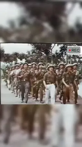 #nhaytiktokxuhuong 