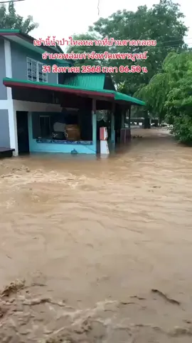 สดๆเช้านี้  วันนี้ 31/08/68 เวลา 06:50น. สมาชิกแจ้งข่าวเช้านี้น้ำป่าไหลหลากท่วมบ้านตาดกลอย อ.หล่มเก่า จ.เพชรบูรณ์