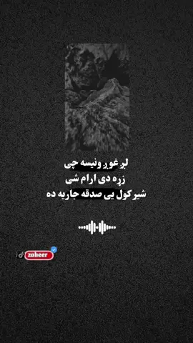 #quran_alkarim 