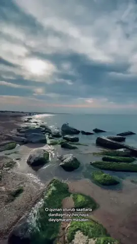 @𝓜𝓩.🐻 