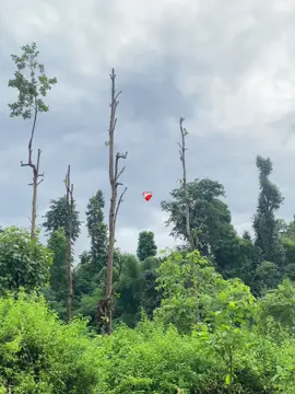 ❤️‍🩹 #LalitThakuri #viral #foryou #foryoupagе #flpシ 