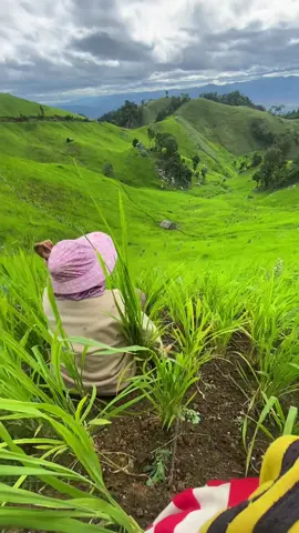 #ກຶມມຸເມືອງຮຸນ🇱🇦🌾 