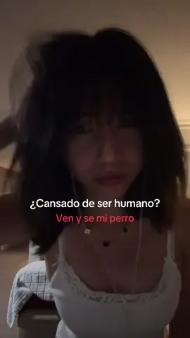 #humor #me #tiktok #perro #fbyツ 