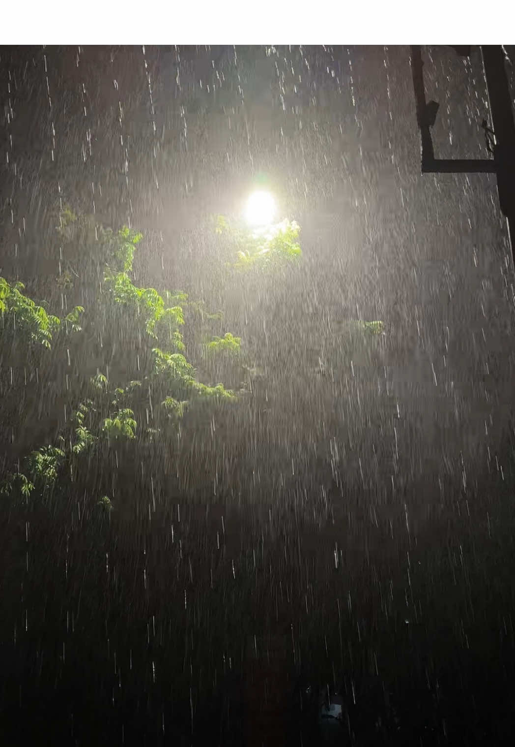Duyên do trời #mua #rain #lofi #tiktokviral 