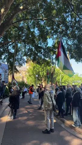 #resistance #palestine #stopthegenocide #fyp 