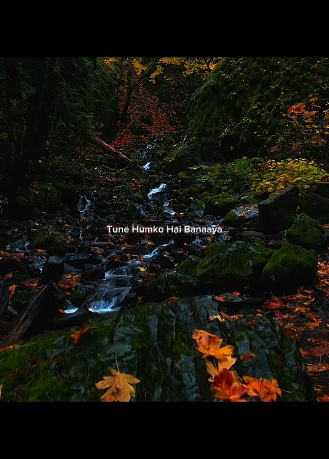 #thissong #fypシ゚ #spotify #viral #foryoupage 