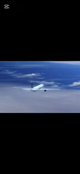 パイロット最期の言葉…#飛行機事故 