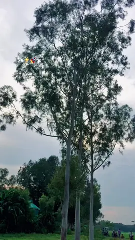 2v sobar jonoo nh 🫵😂#sestem_hang💥💥 #MR2VRIDER #foryou #apache160 #stock #bulertr #fyppppppppppppppppppppppp #500k @SIAM•🥷🏻🚩 @POKET ROCKET 🚀💥 @RAW  Shakil...🍾🍷 