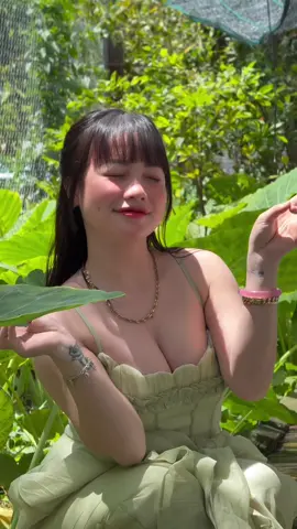 Gái miền Tây hong có chửi bồ đâu #xh #sclk99uytin❤️ #fenn 