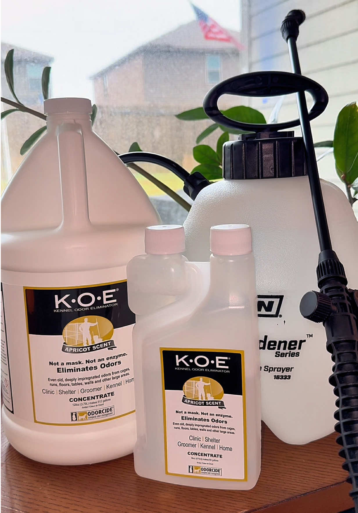 Get rid of months of pet odor! This gallon has lasted us over 500 gallons of solution! @Odorcide #cleaningproducts #odorcontrol #odorfree #cleaningessentials #olaycleansingmelts 