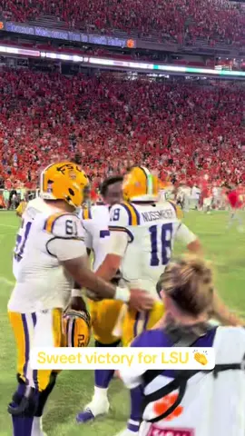 #LSU beats #Clemson to go 1-0 to start the season 😤 #cfb 